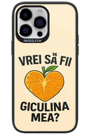 Design Clean 2.0 - Apple iPhone 14 Pro Max