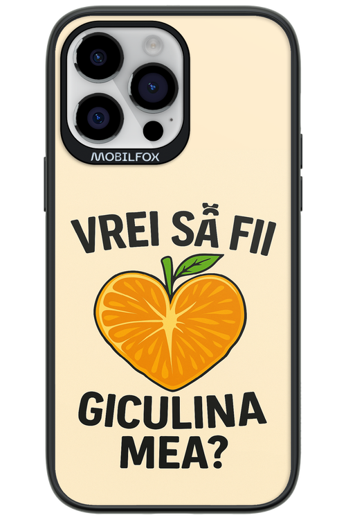 Design Clean 2.0 - Apple iPhone 14 Pro Max