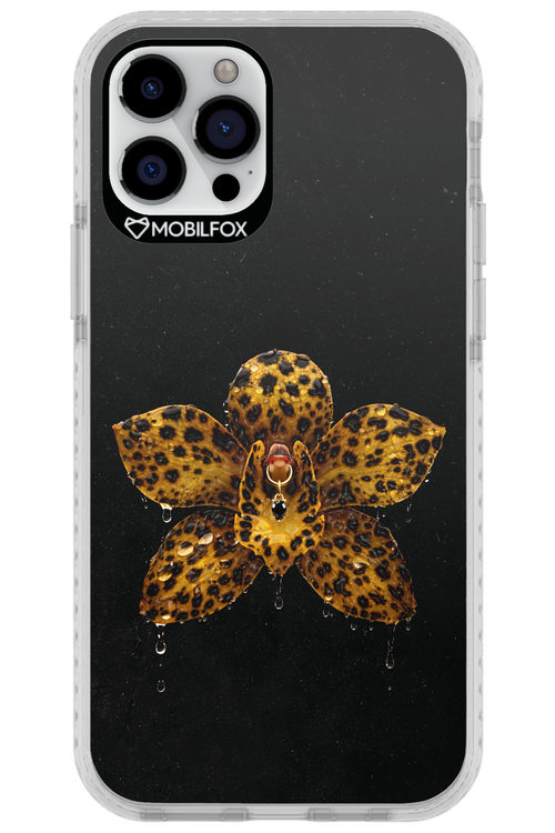 Wet & Wild 2.0 - Apple iPhone 12 Pro