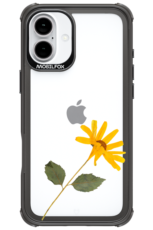 Pressed Flower - Apple iPhone 16 Plus