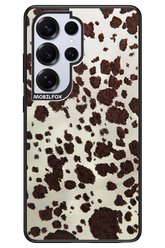 Appaloosa 2.0 - Samsung S25 Ultra