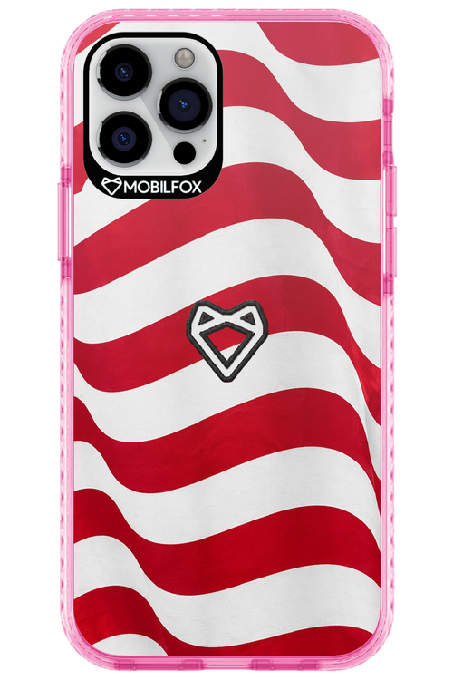 USA 2.0 - Apple iPhone 12 Pro