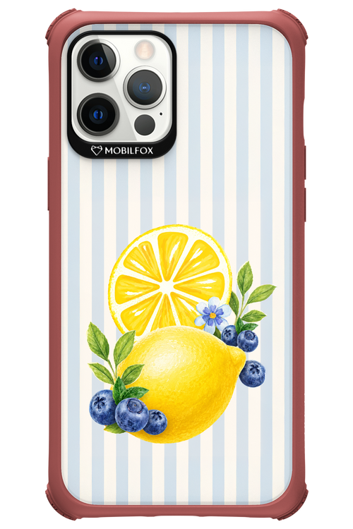 Fresh Flash 2.0 - Apple iPhone 12 Pro Max