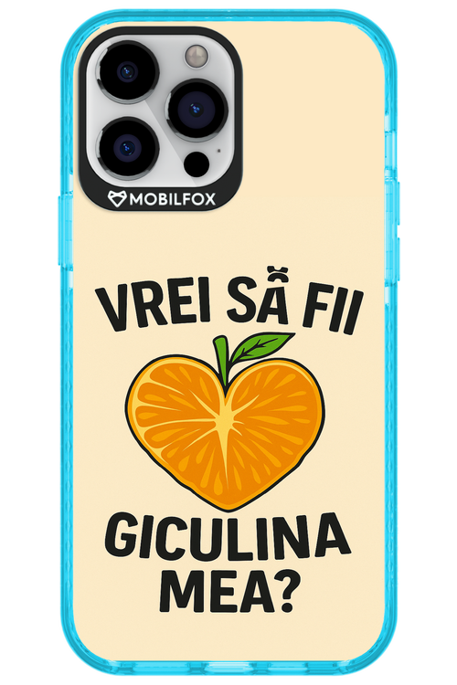 Design Clean 2.0 - Apple iPhone 13 Pro Max