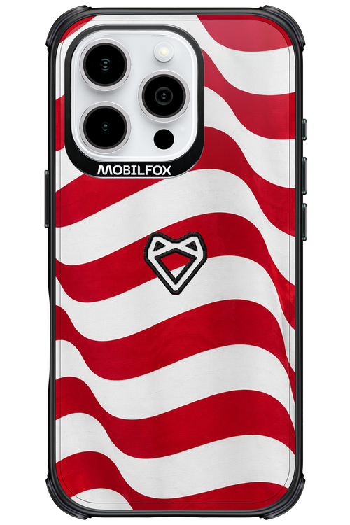 USA 2.0 - Apple iPhone 16 Pro