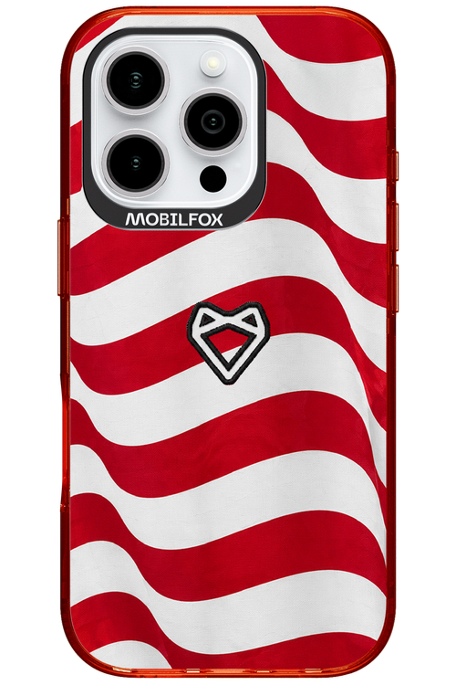 USA 2.0 - Apple iPhone 16 Pro