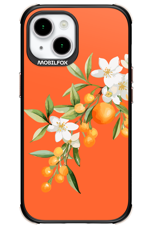 Amalfi Oranges - Apple iPhone 15