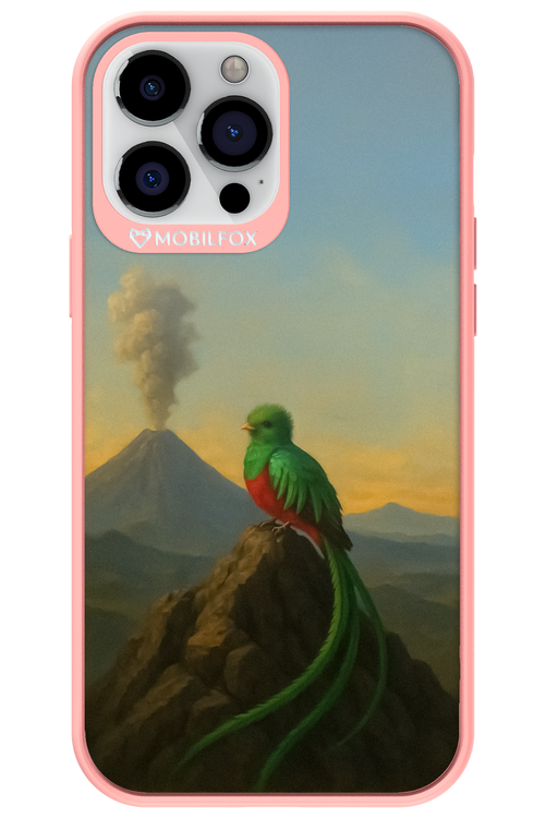 Birdy 2.0 - Apple iPhone 13 Pro Max