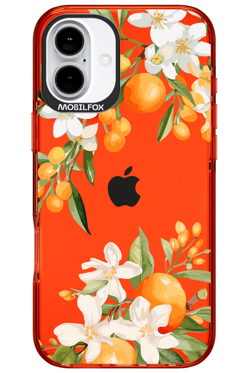 Amalfi Orange 2.0 - Apple iPhone 16 Plus