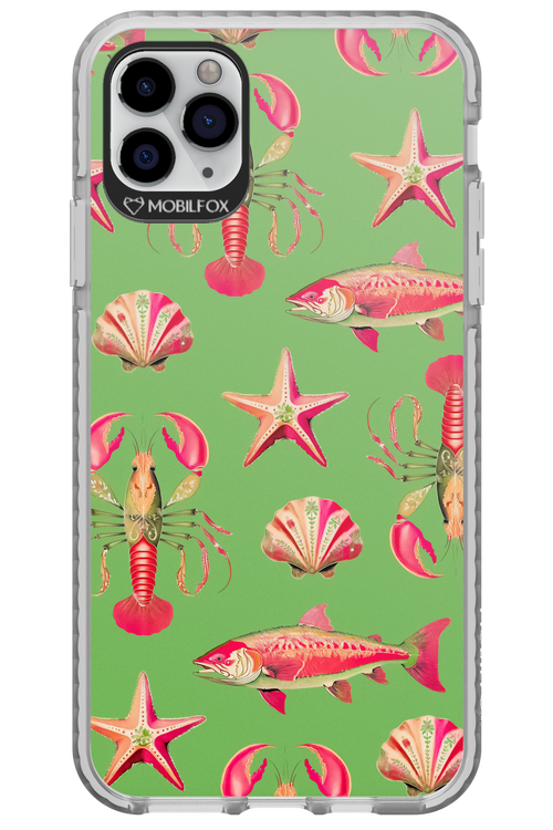 Sea Stars - Apple iPhone 11 Pro Max