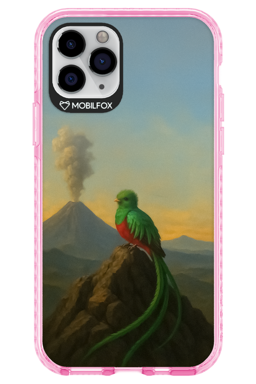 Birdy 2.0 - Apple iPhone 11 Pro