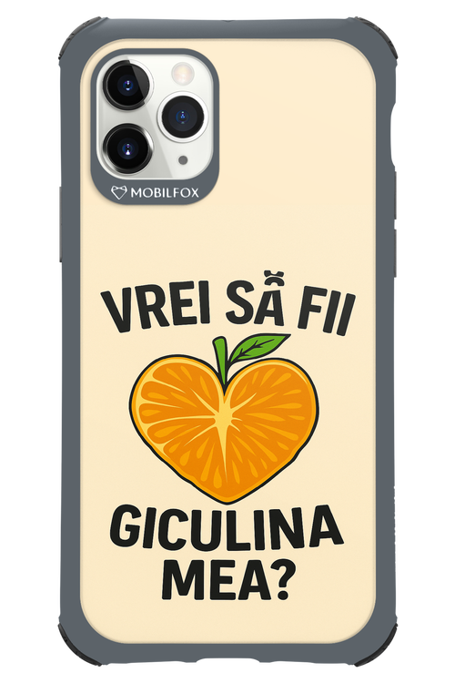 Design Clean 2.0 - Apple iPhone 11 Pro