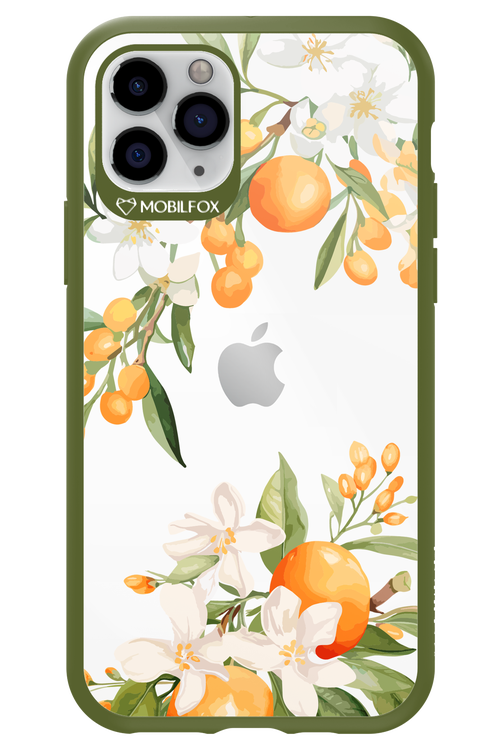 Amalfi Orange 2.0 - Apple iPhone 11 Pro