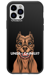 Unde-i Cainilii - Apple iPhone 12 Pro