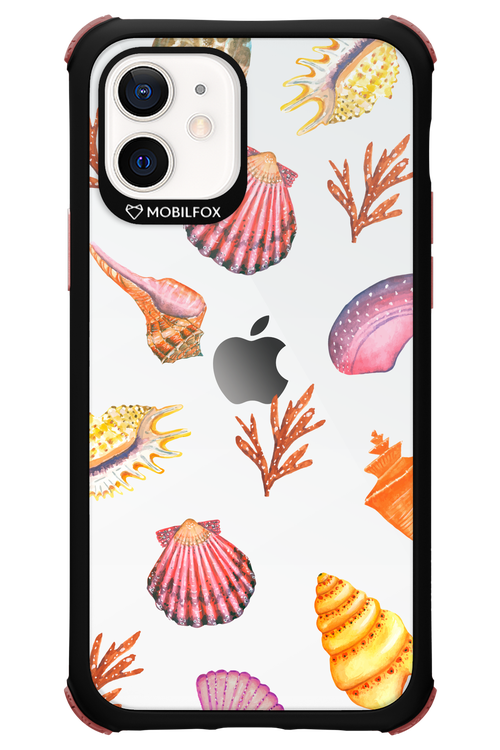 Sea Shells - Apple iPhone 12