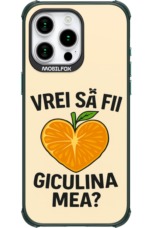 Design Clean 2.0 - Apple iPhone 15 Pro Max