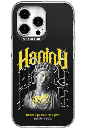 Haniny Icon (black) - Apple iPhone 15 Pro Max