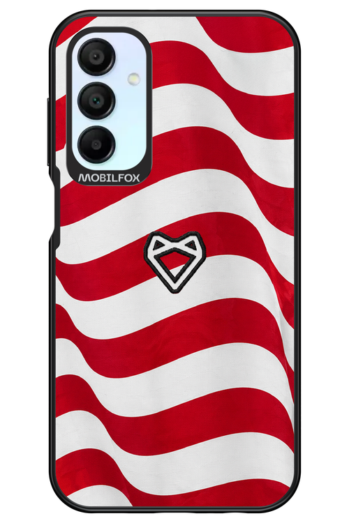 USA 2.0 - Samsung Galaxy A15