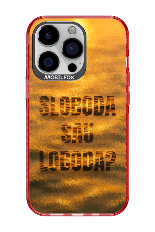 S or L - Apple iPhone 13 Pro