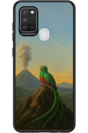 Birdy 2.0 - Samsung Galaxy A21 S