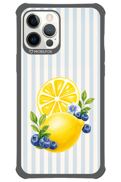 Fresh Flash 2.0 - Apple iPhone 12 Pro Max