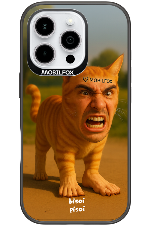 Bisoi Pisoi - Apple iPhone 16 Pro