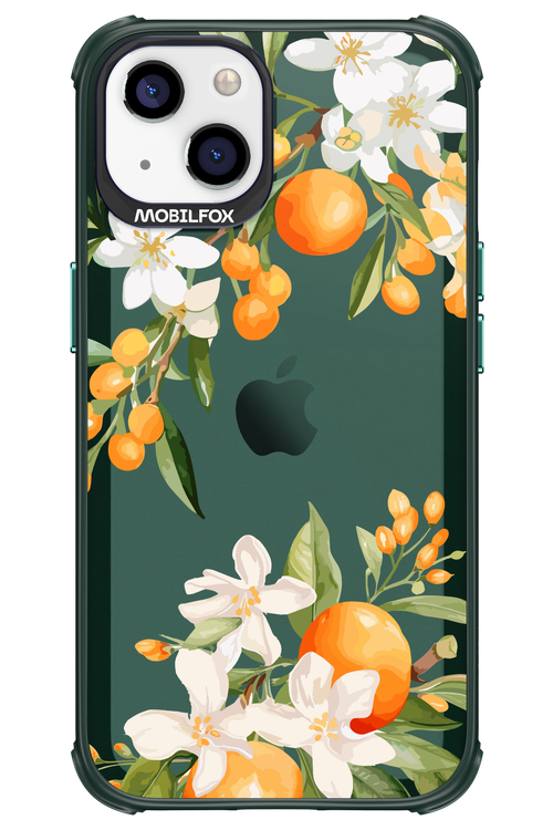 Amalfi Orange 2.0 - Apple iPhone 13