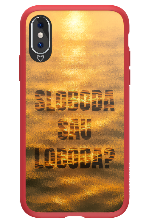 S or L - Apple iPhone X