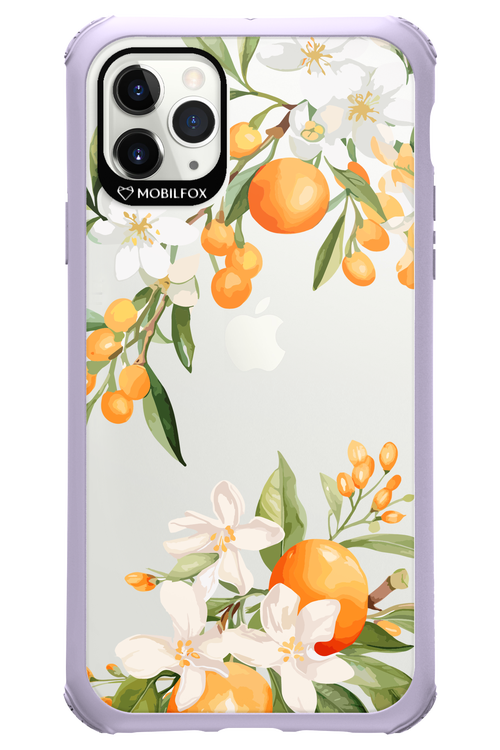 Amalfi Orange 2.0 - Apple iPhone 11 Pro Max