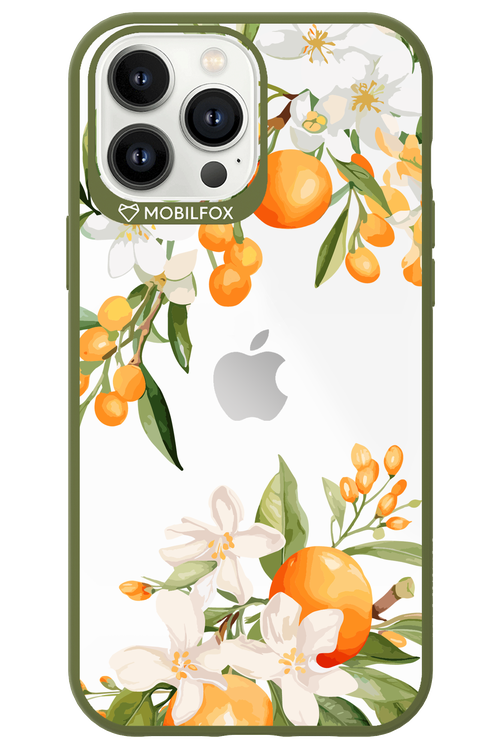 Amalfi Orange 2.0 - Apple iPhone 13 Pro Max