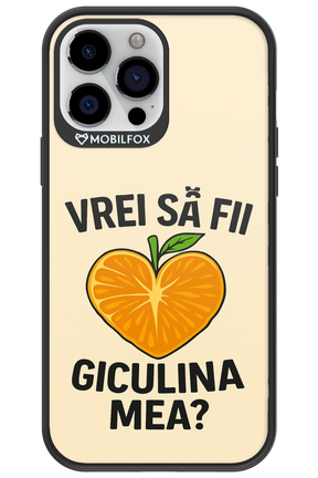 Design Clean 2.0 - Apple iPhone 13 Pro Max