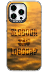 S or L - Apple iPhone 15 Pro Max