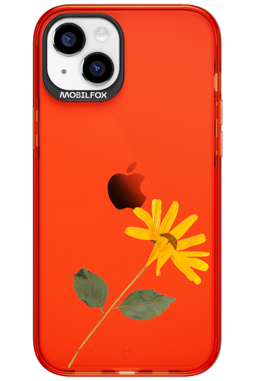Pressed Flower - Apple iPhone 15 Plus