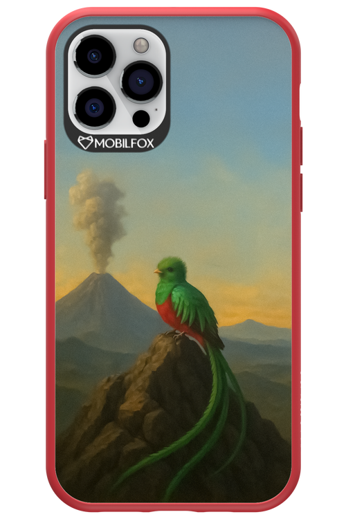 Birdy 2.0 - Apple iPhone 12 Pro