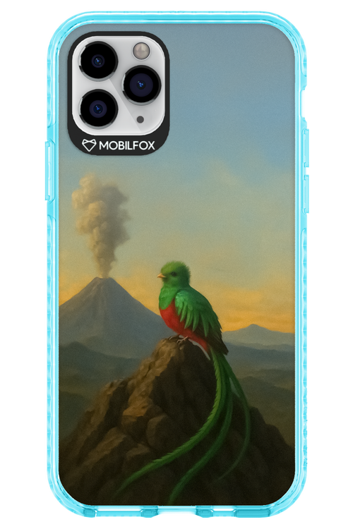 Birdy 2.0 - Apple iPhone 11 Pro
