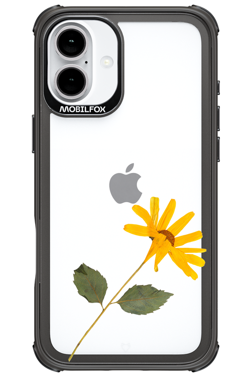 Pressed Flower - Apple iPhone 16 Plus