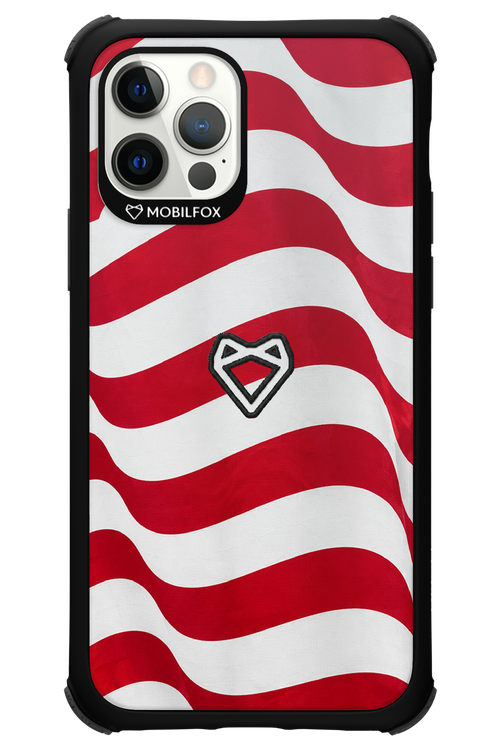 USA 2.0 - Apple iPhone 12 Pro