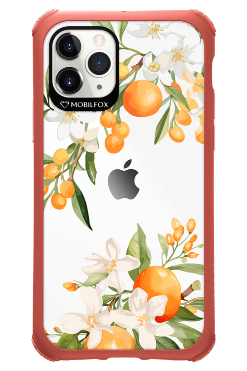 Amalfi Orange 2.0 - Apple iPhone 11 Pro