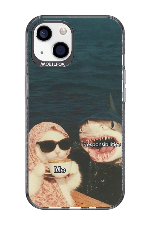 Responsibilities - Apple iPhone 13