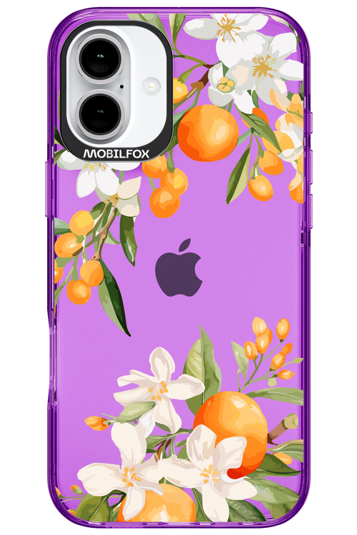 Amalfi Orange 2.0 - Apple iPhone 16 Plus