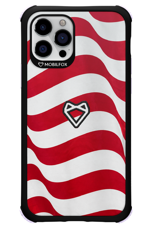 USA 2.0 - Apple iPhone 12 Pro
