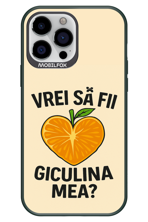 Design Clean 2.0 - Apple iPhone 13 Pro Max