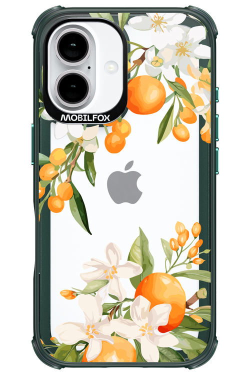 Amalfi Orange 2.0 - Apple iPhone 16