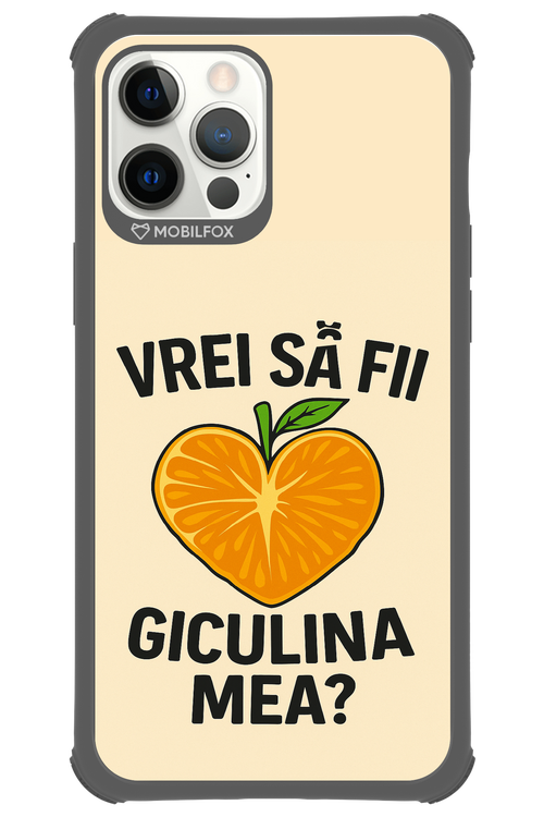 Design Clean 2.0 - Apple iPhone 12 Pro Max