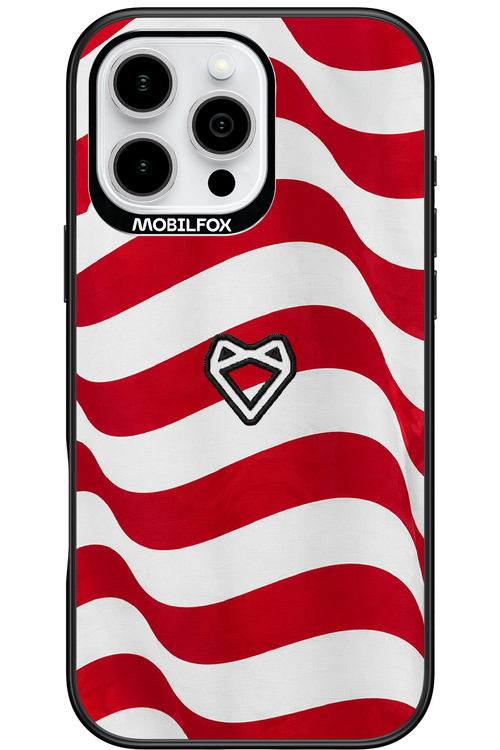 USA 2.0 - Apple iPhone 16 Pro Max