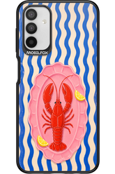 LOBSTER 2.0 - Samsung Galaxy A04s