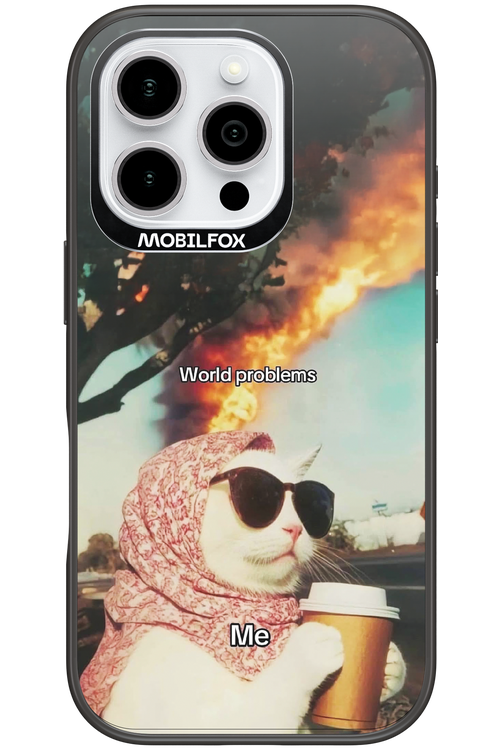 World Problems - Apple iPhone 16 Pro