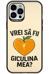 Design Clean 2.0 - Apple iPhone 12 Pro Max