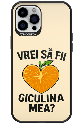 Design Clean 2.0 - Apple iPhone 12 Pro Max