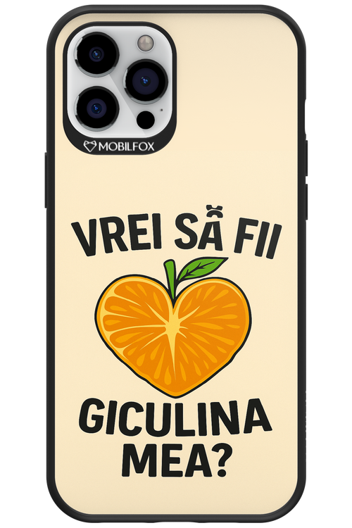Design Clean 2.0 - Apple iPhone 12 Pro Max